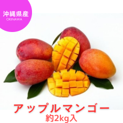 ※送料込み 沖縄県産アップルマンゴー約2kg