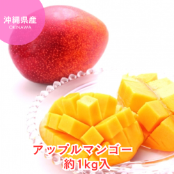 ※送料込み 沖縄県産アップルマンゴー約1kg