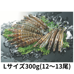 お届け先が沖縄県外　久米島　活車えびL300ｇ